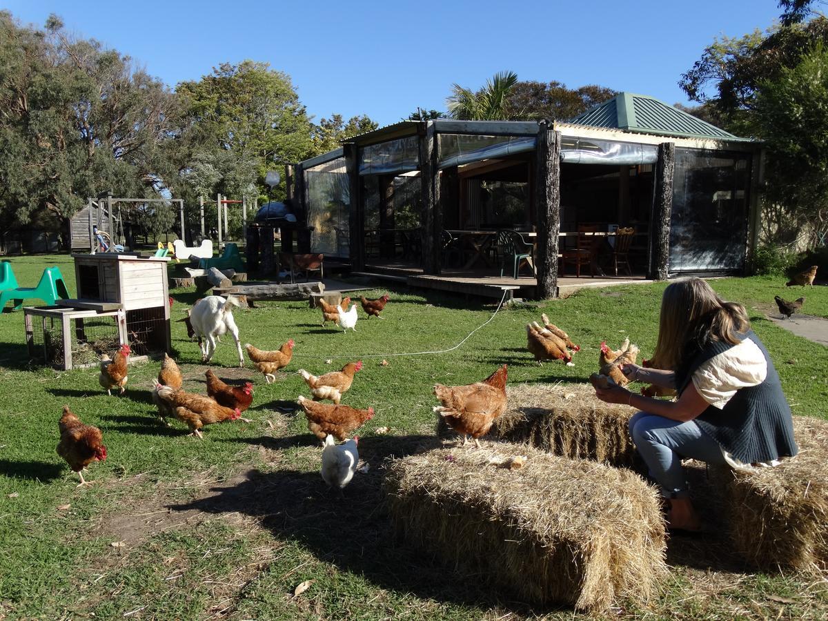 Ripples N Tonic Farmstay Ventnor Ngoại thất bức ảnh