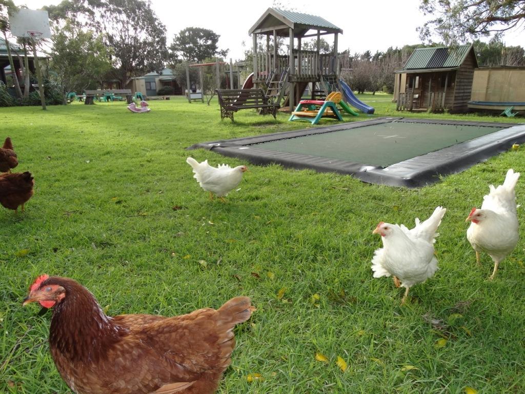 Ripples N Tonic Farmstay Ventnor Ngoại thất bức ảnh